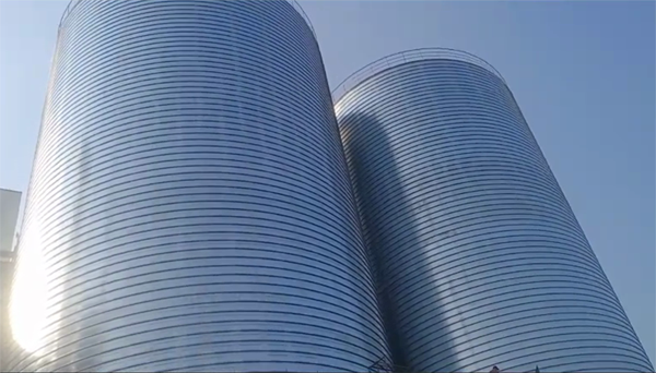 红古2座混凝土高架卷板仓